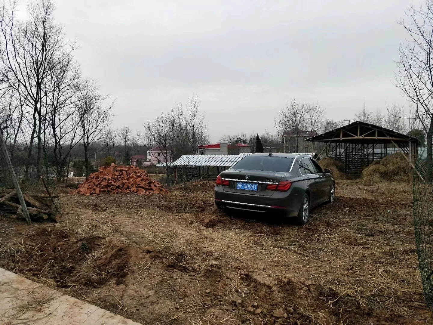 跌落神坛的梅花鹿茸