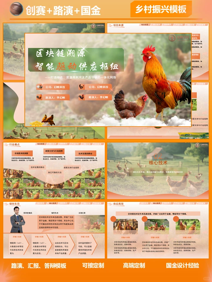 乡村振兴模板-禽养殖【上】