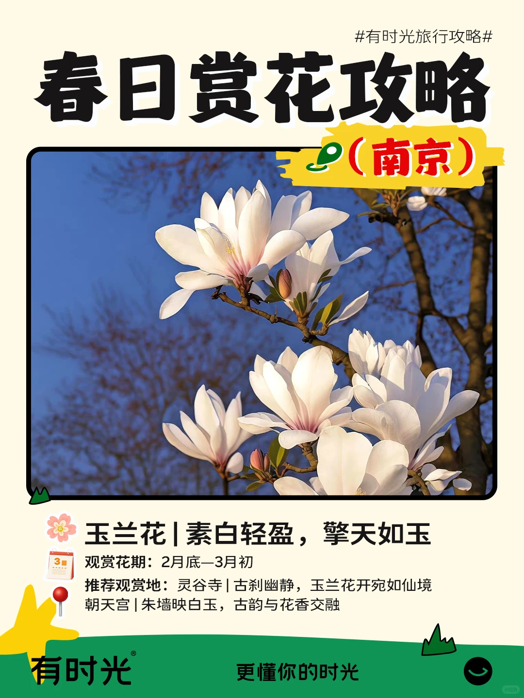 南京超全春日赏花攻略！附📍地点+时间表