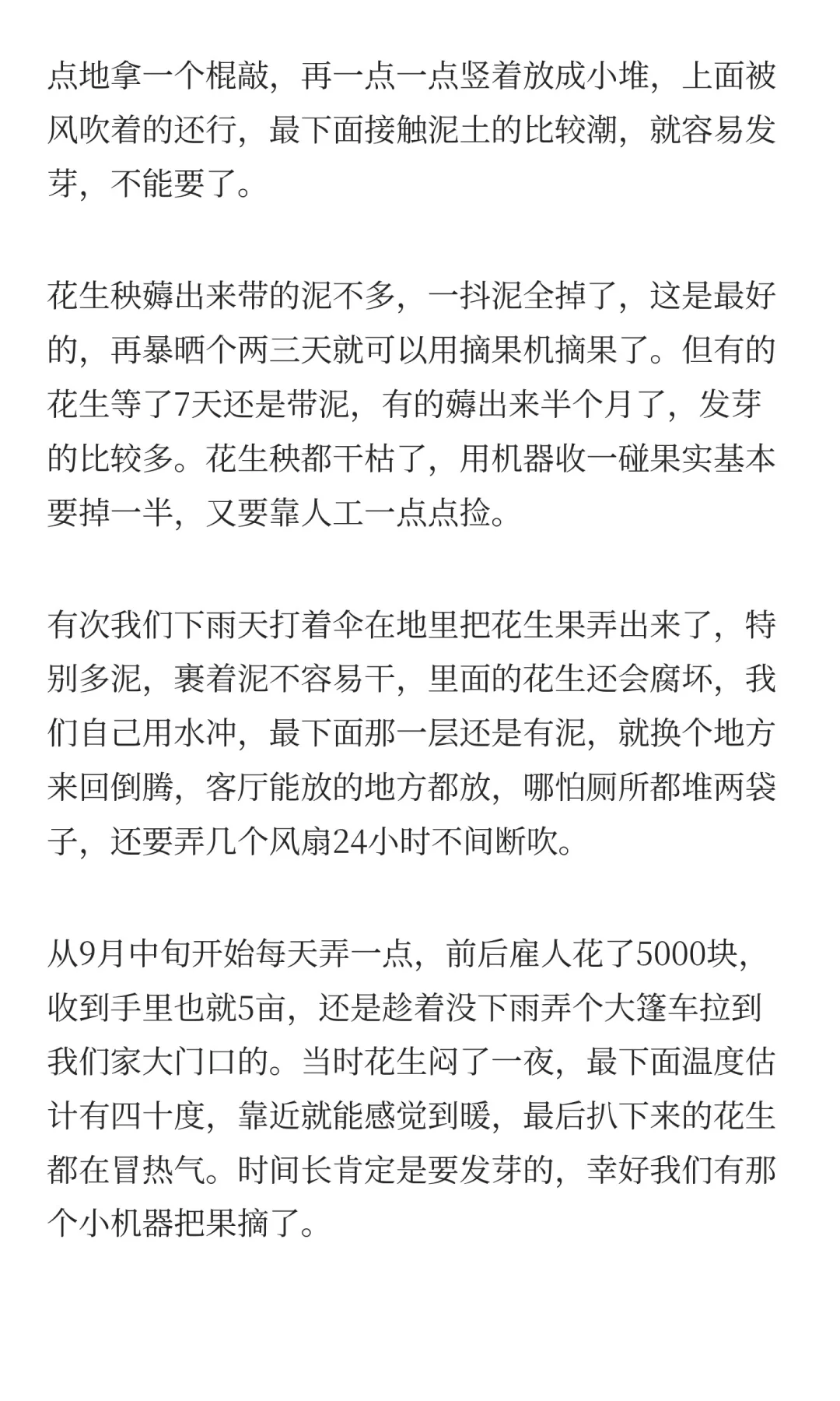 夏旱之后又秋涝，一位河南农户的花生抢收