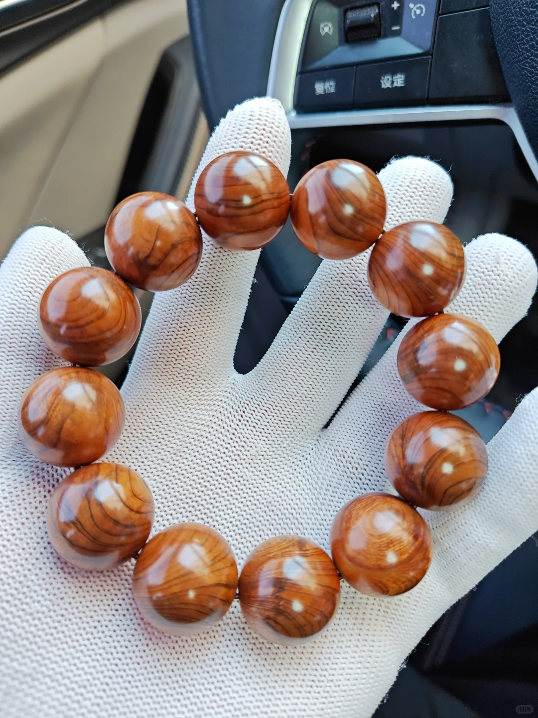 带你了解不一样的崖柏产区巫溪和城口料