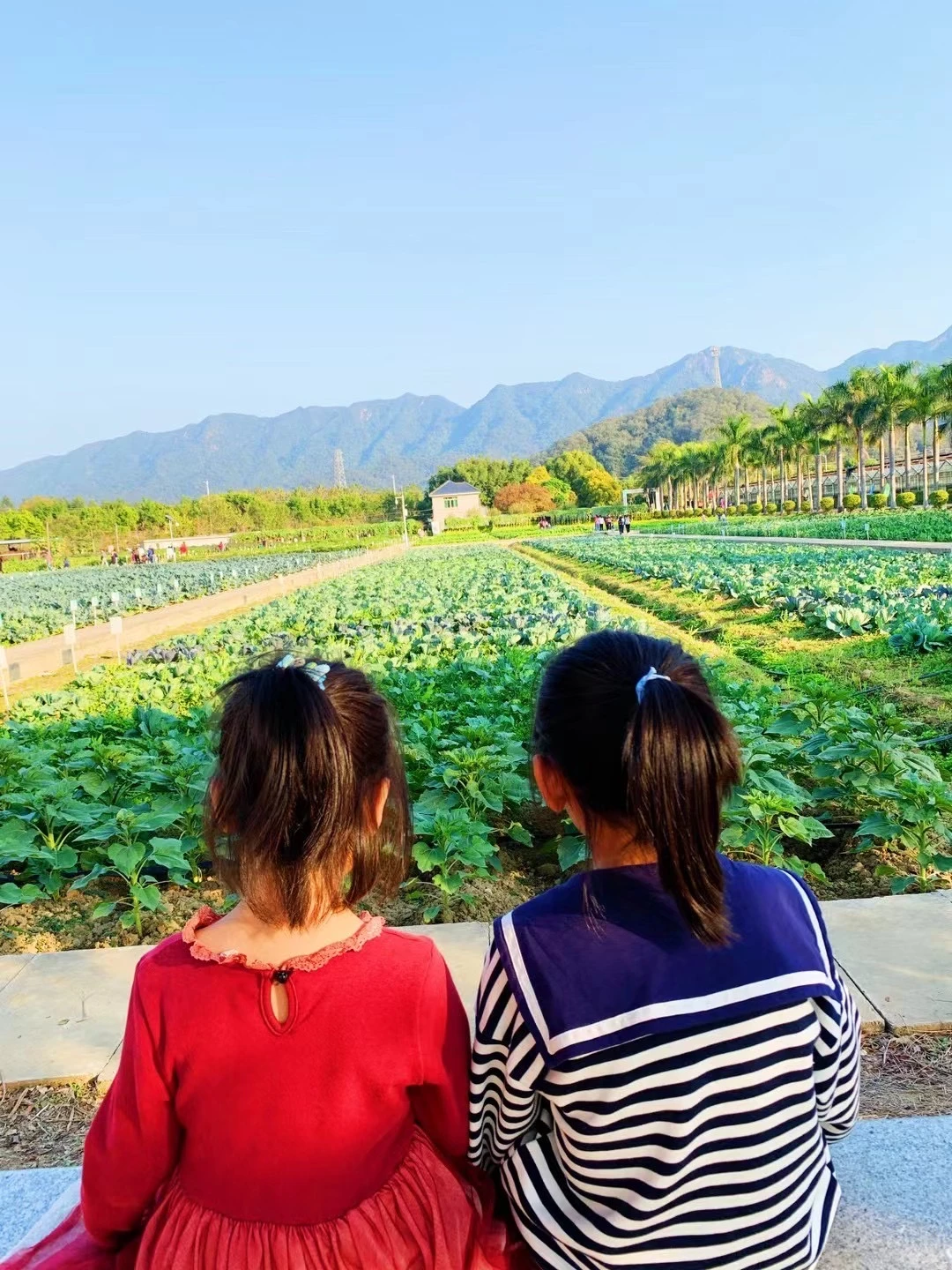 佛山农科院|限时免费开放❗最全攻略来啦