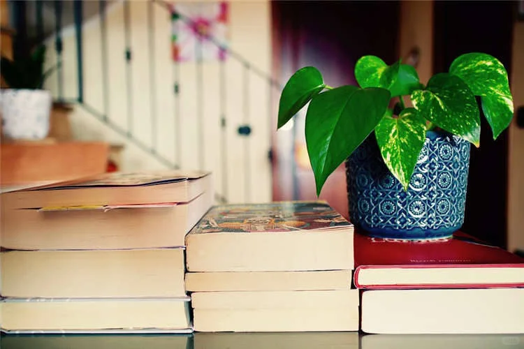 北京林业大学公共管理考研辅导班哪有