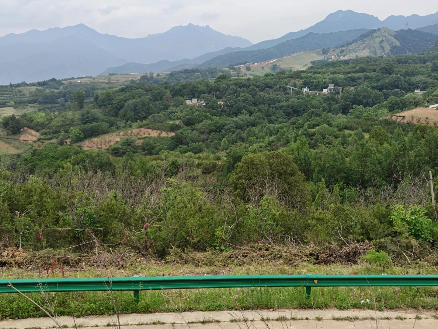 建设项目征占林地外业调查