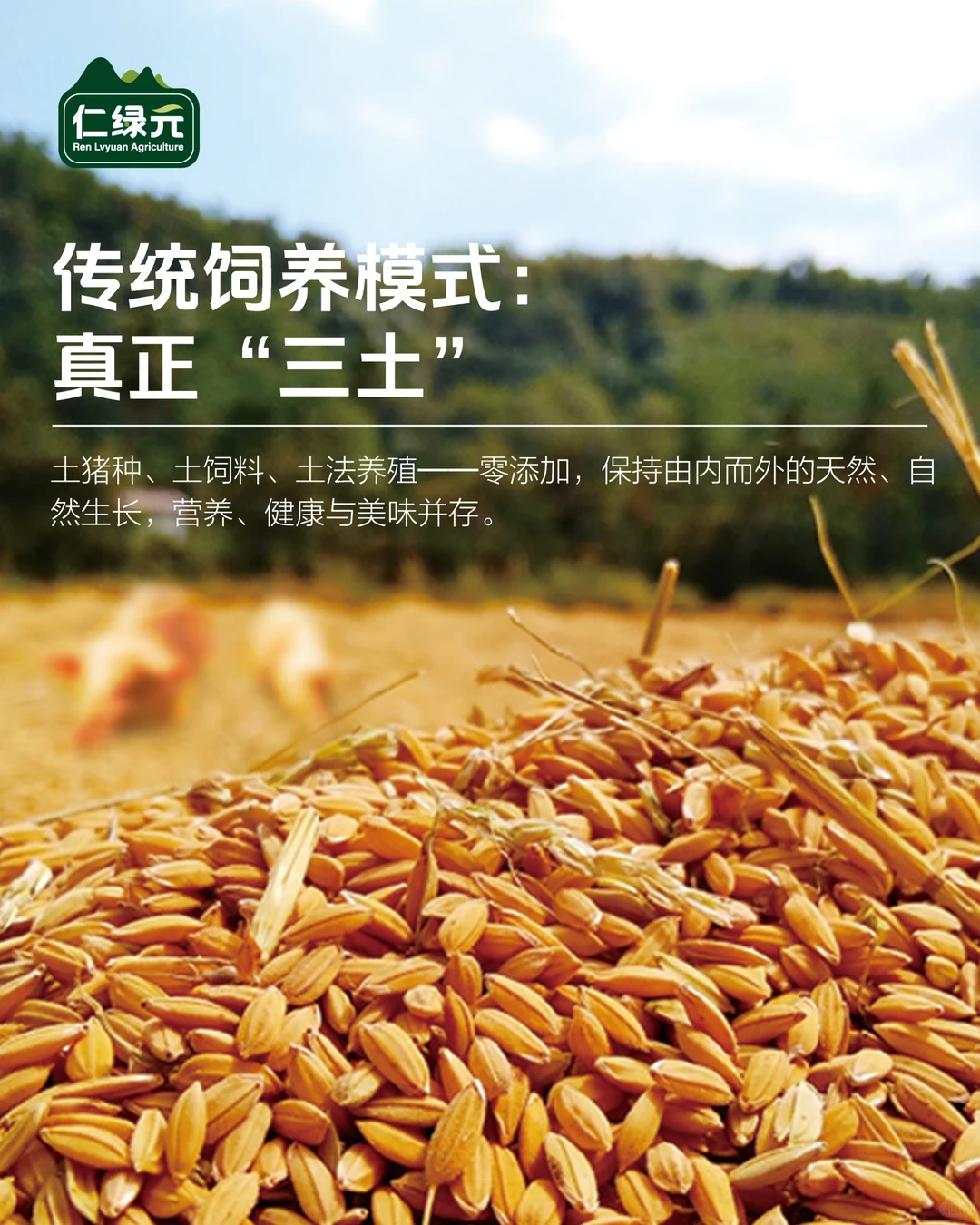 坚持16年绿色养殖理念