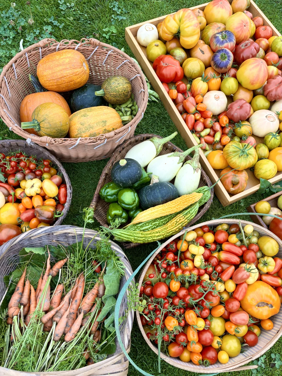 拥有农场主好朋友，提前10年过上梦想的生活