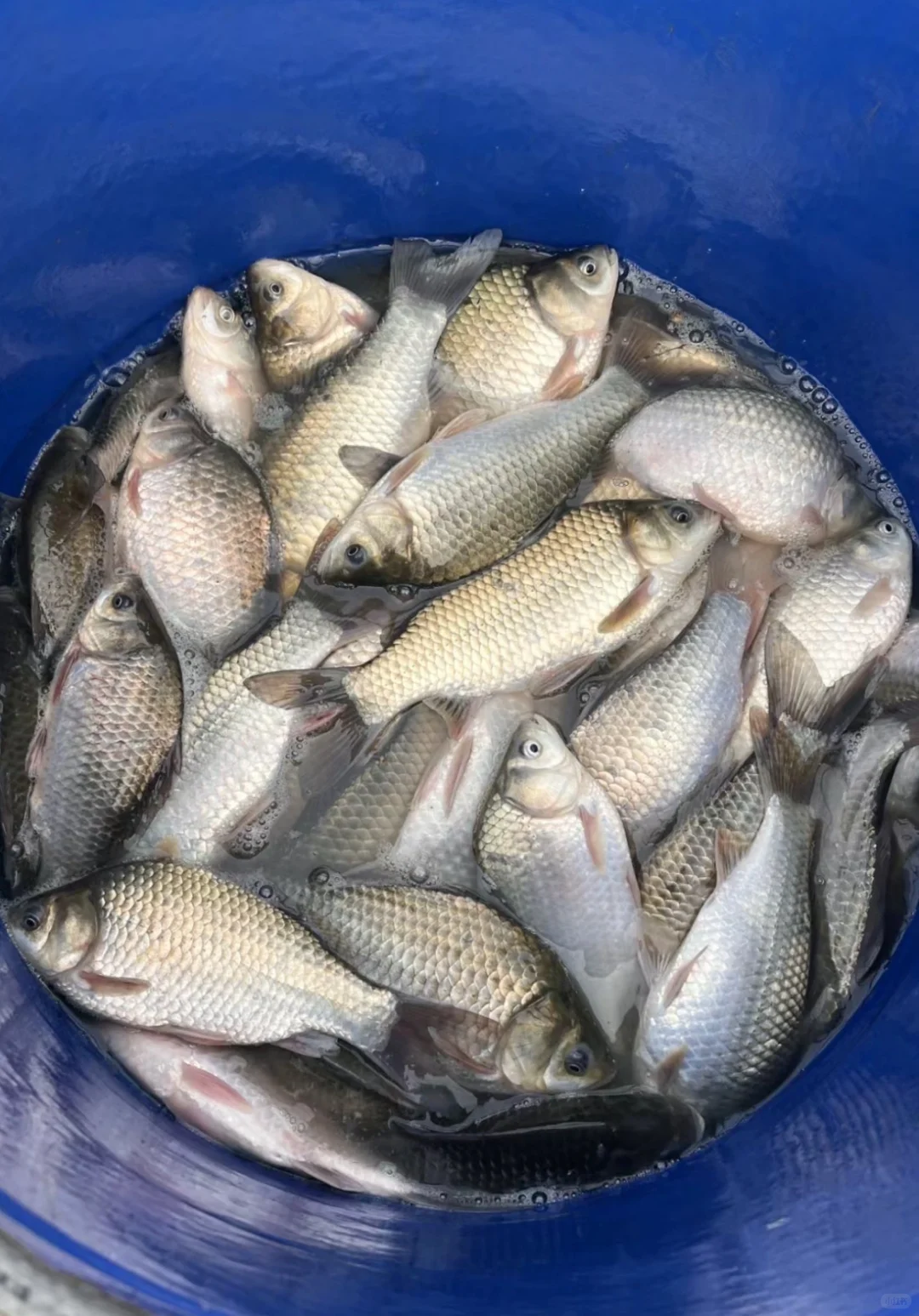 00后水产养殖户的一天