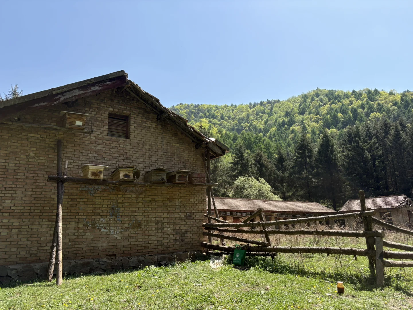 事业编林场入职第二十三天