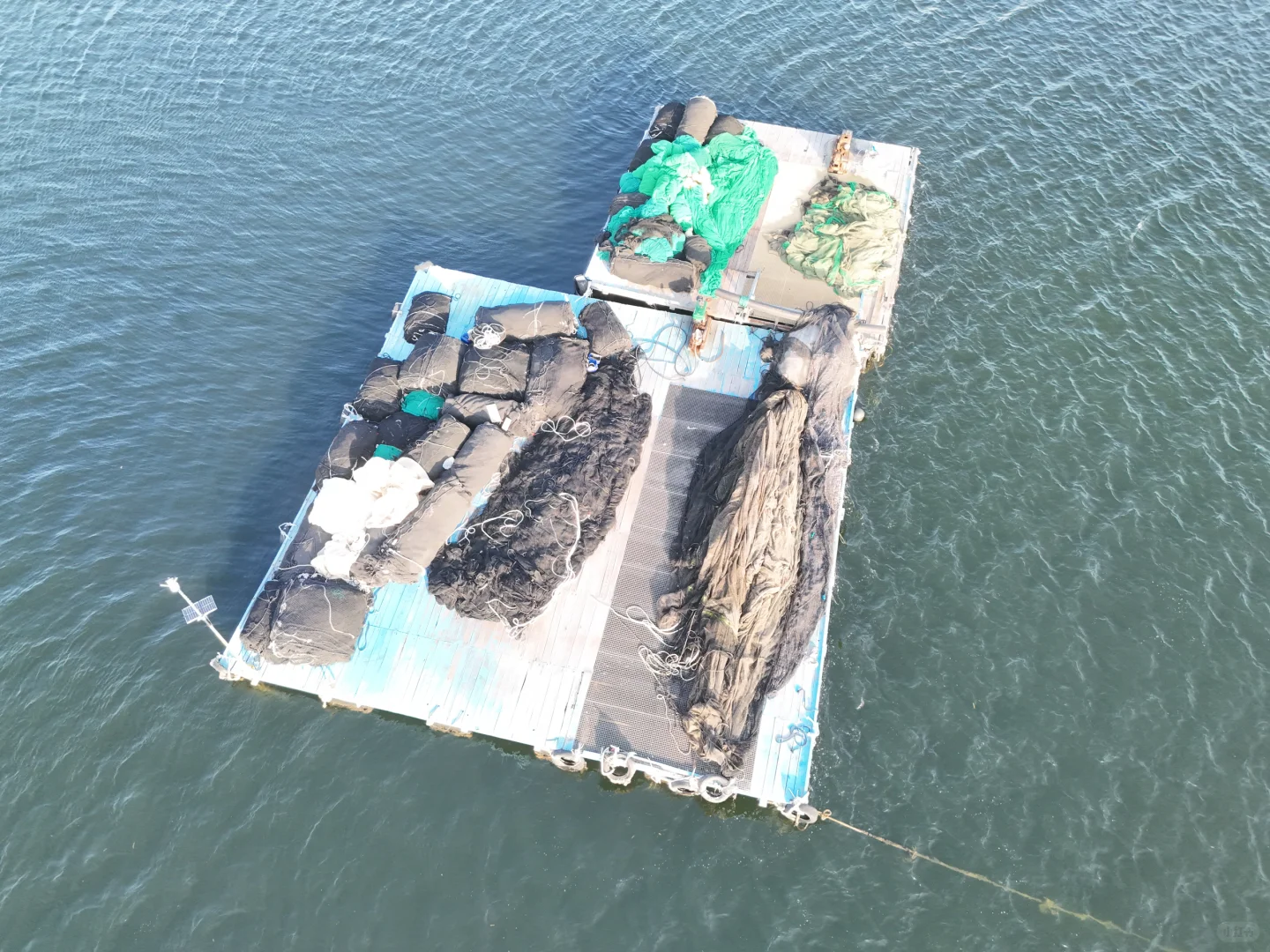 赶海的尽头是海钓的开始🌊