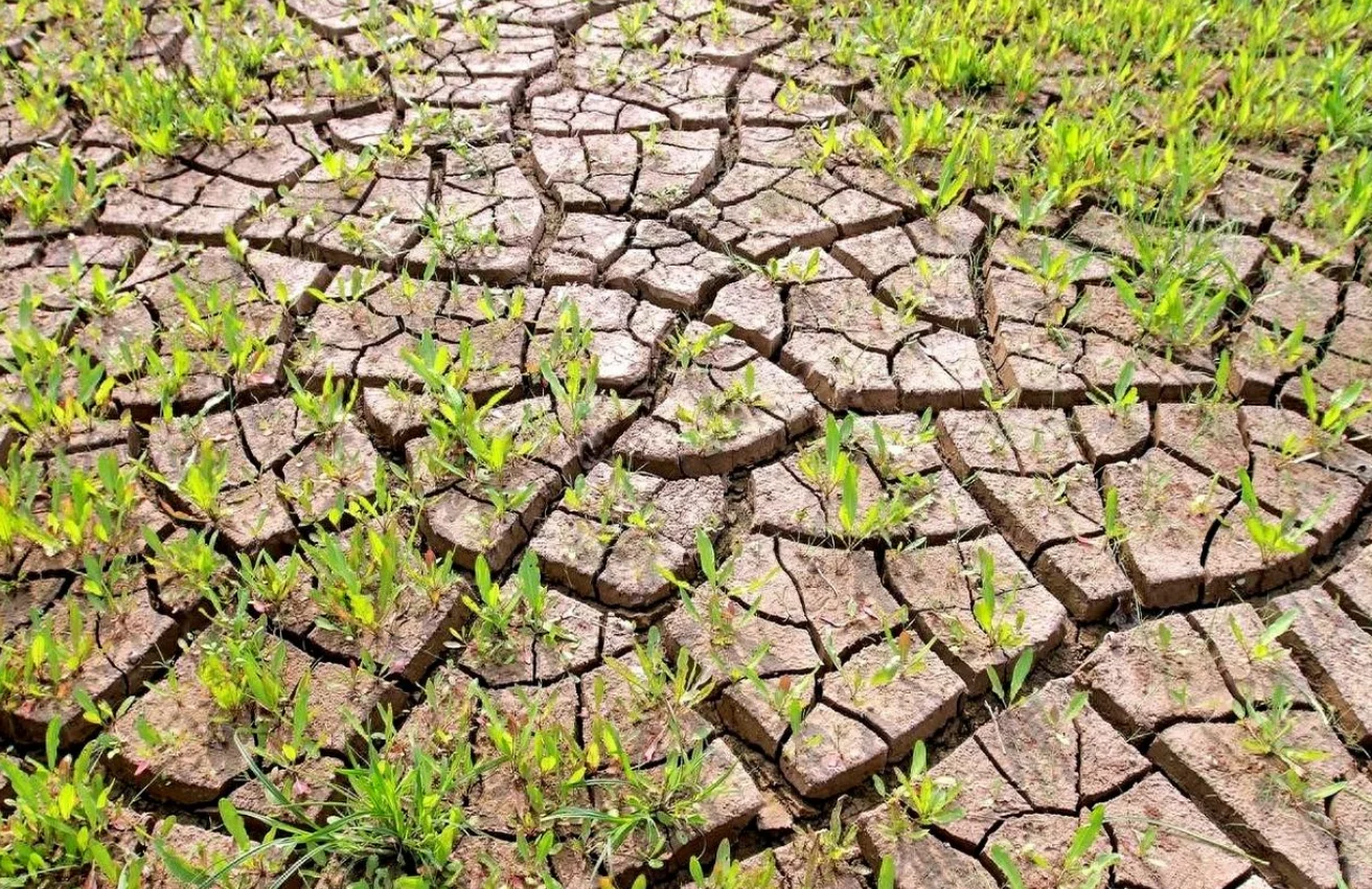 河南遭遇近25年以来最严重旱情 让人心疼！