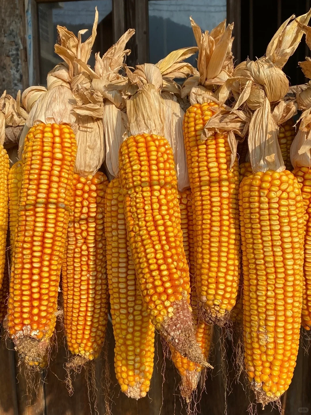 “ 不负秋光，好运满仓 … ” 丨...