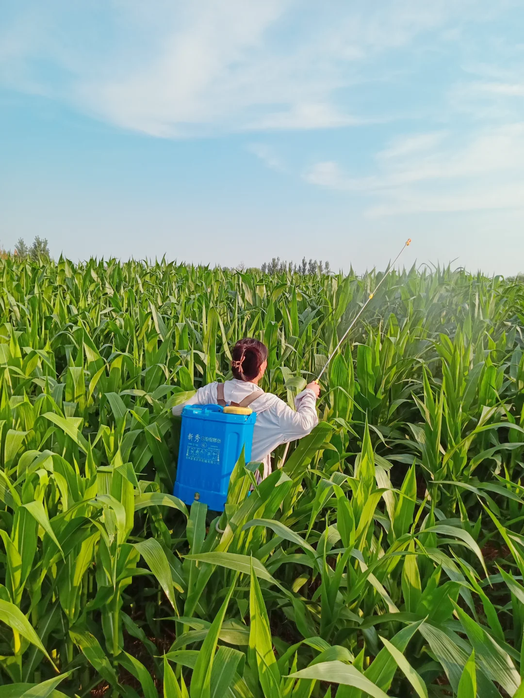 网上说种地已经成了中产们的新趋势
