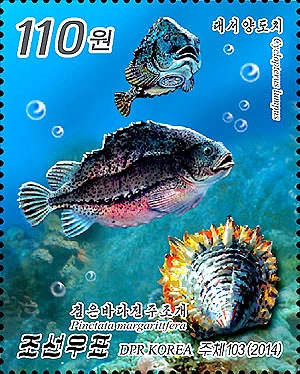 朝鲜海洋鱼类资源