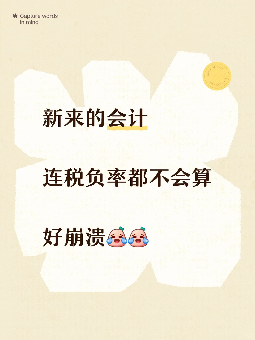 新来的会计连税负率都搞不清楚😂😂