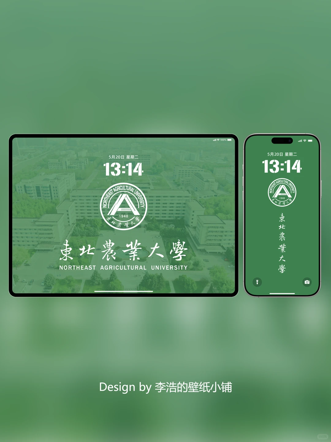 东北林业大学壁纸｜绿染山河，逐梦东林