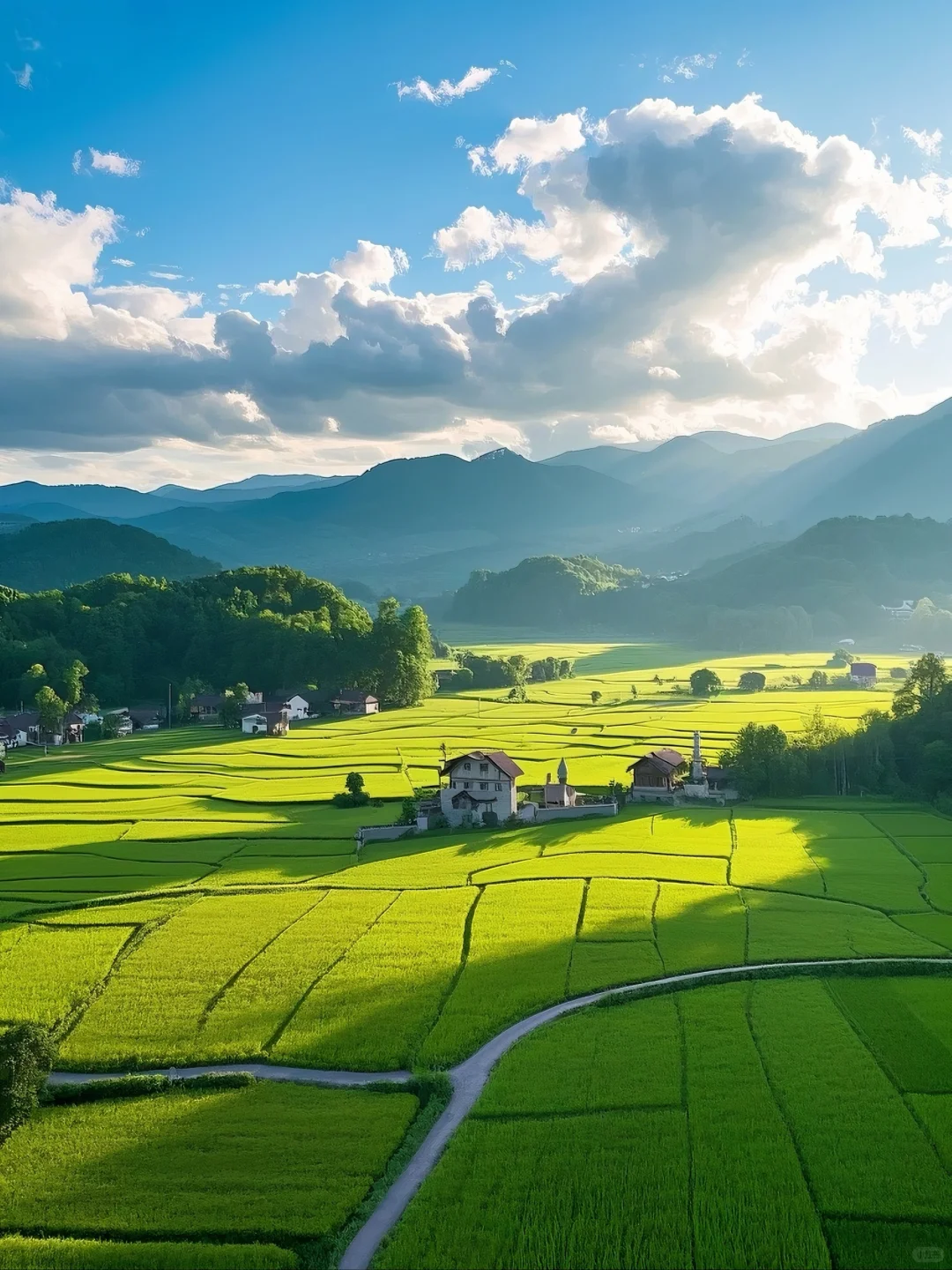 金秋稻浪，丰收在望，美丽的乡村风光