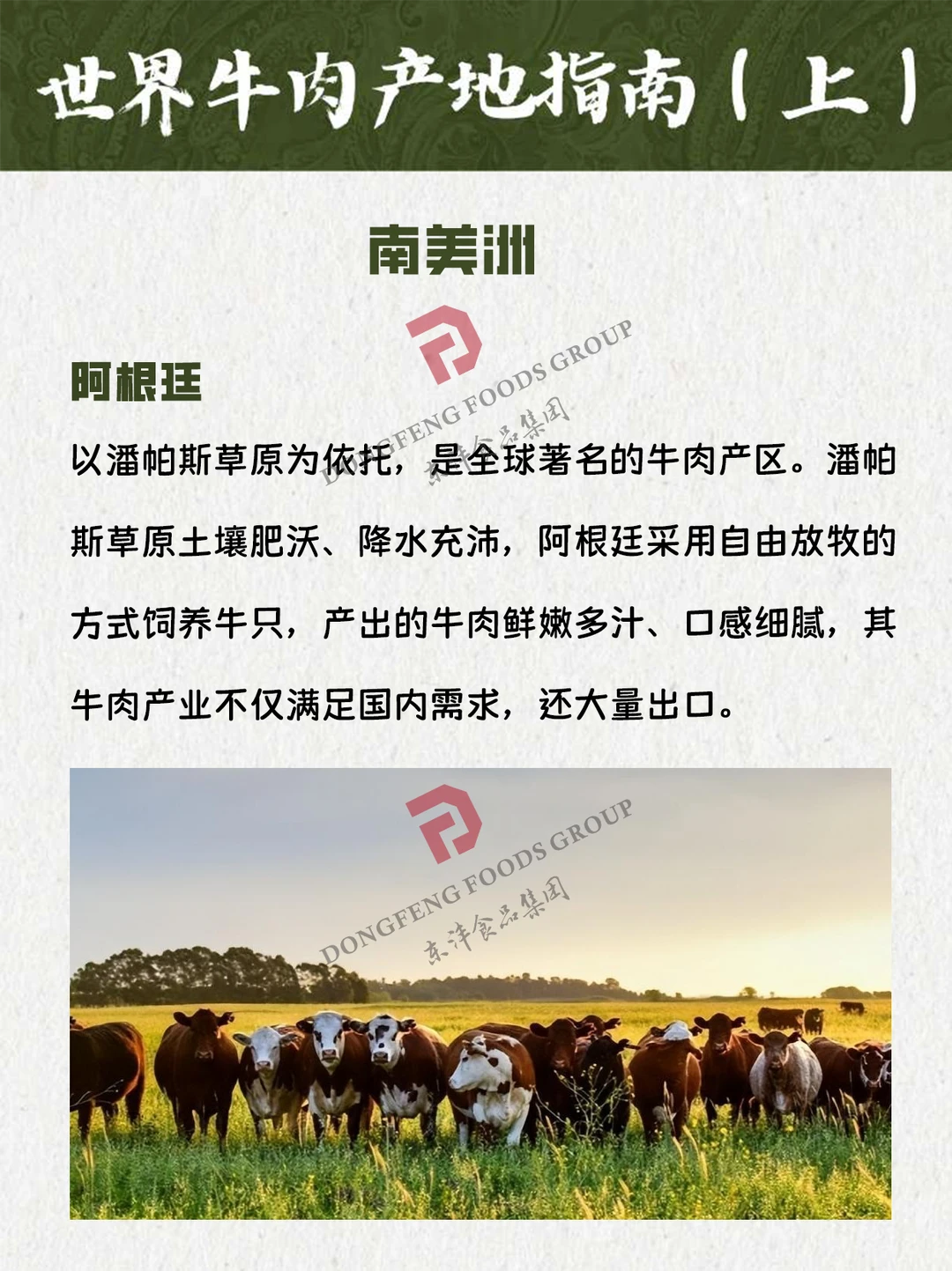 🌎 世界牛肉产地指南（上）