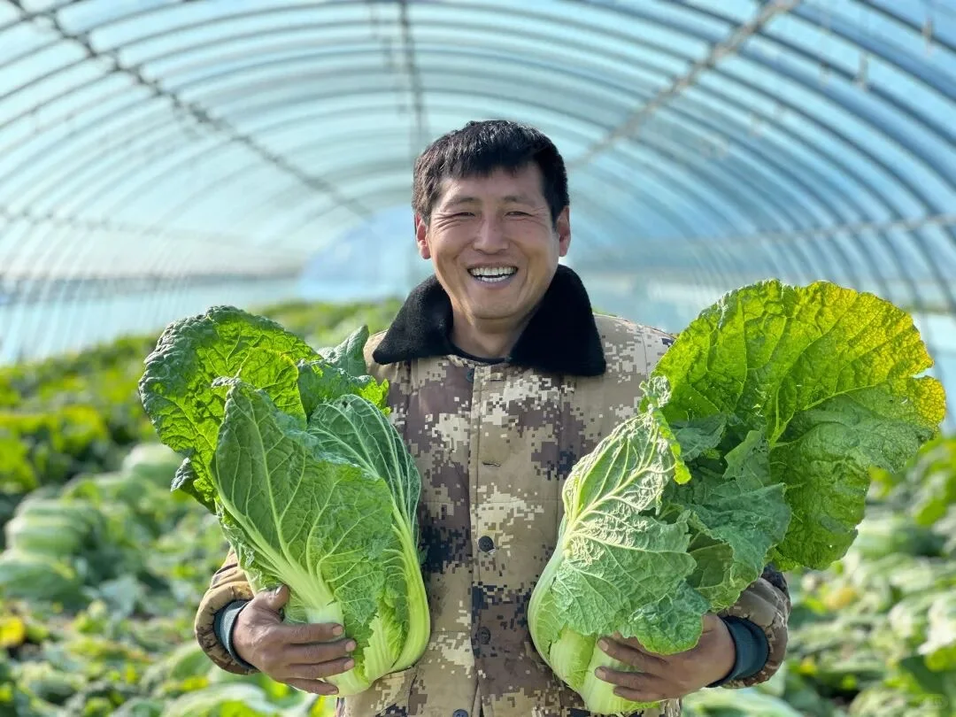 🍂 秋日丰收图鉴