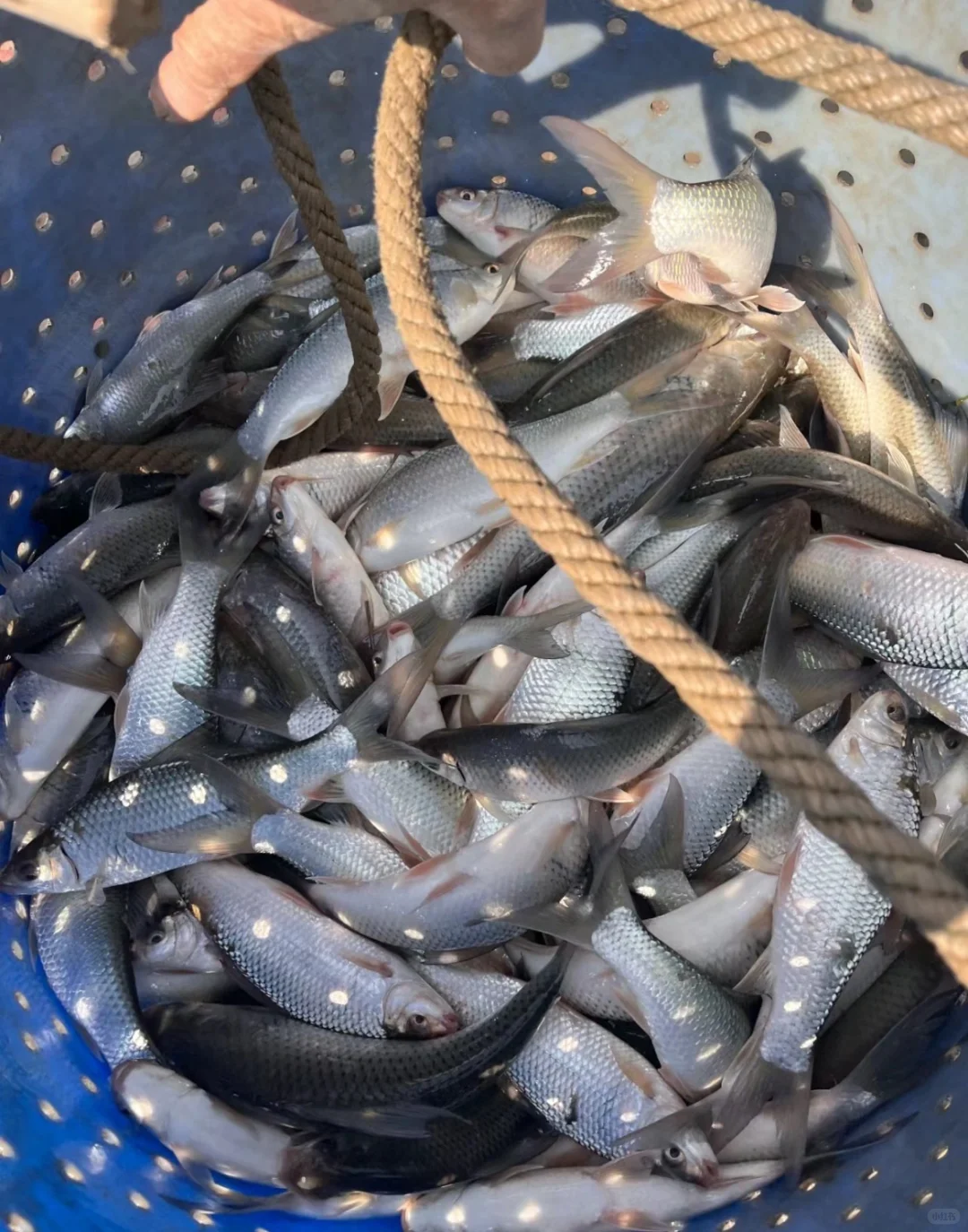 00后水产养殖户的一天