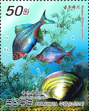 朝鲜海洋鱼类资源