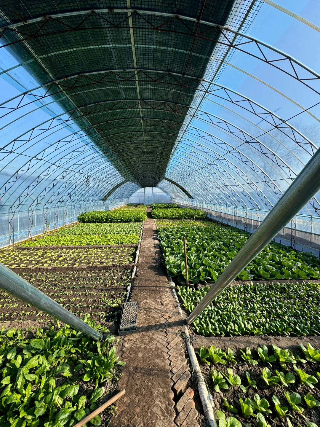 十二月也要加油哦