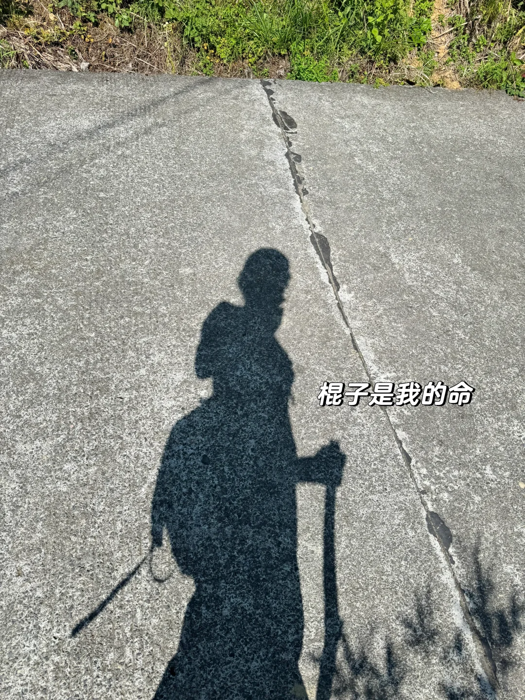 林业女研究生外业日常🧩