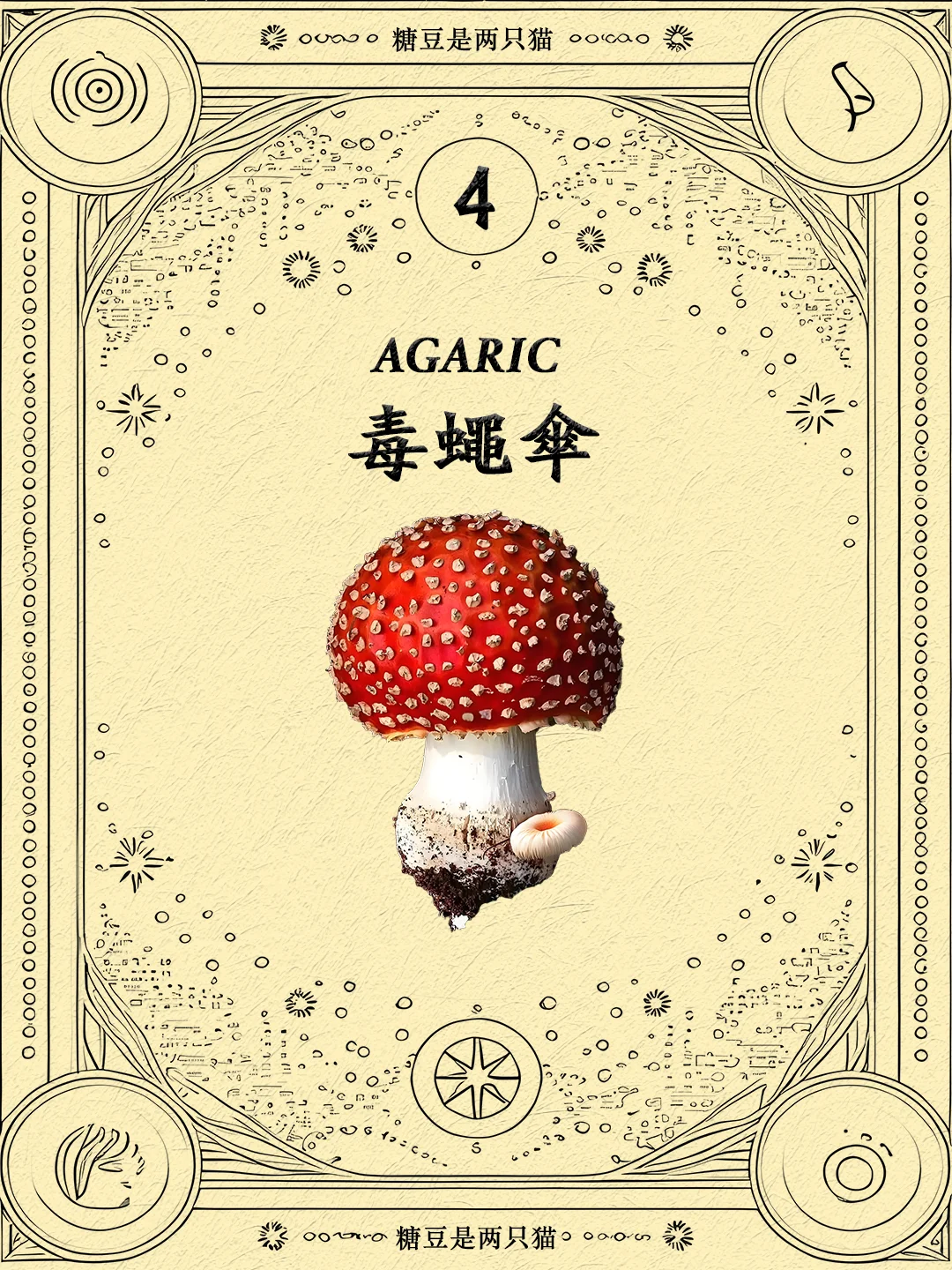 草药🌿·5毒蝇伞