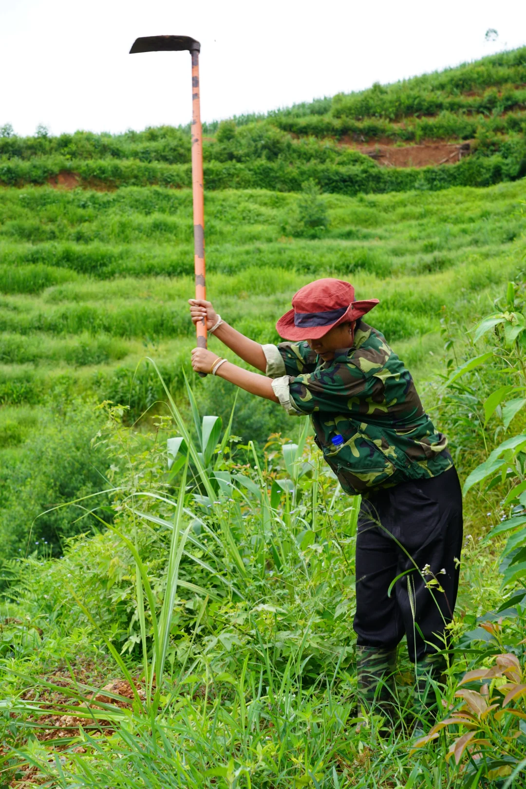 坚持人工除草！是新农人的第一步坚守……