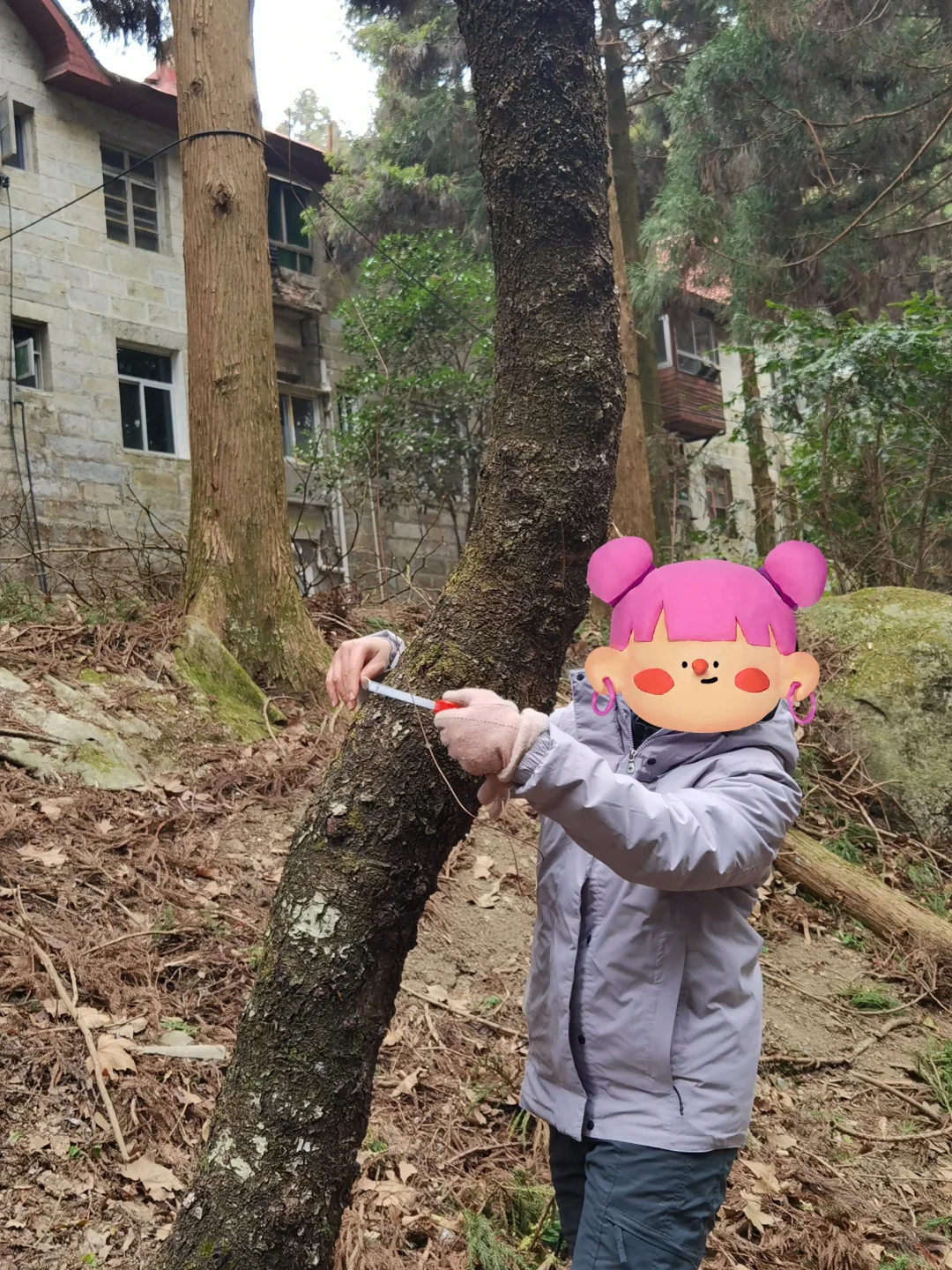 林业工作要求每年至少出差六个月的真相