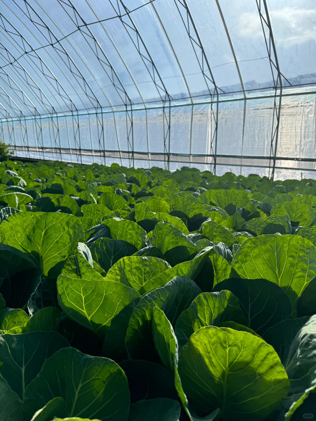 十二月也要加油哦