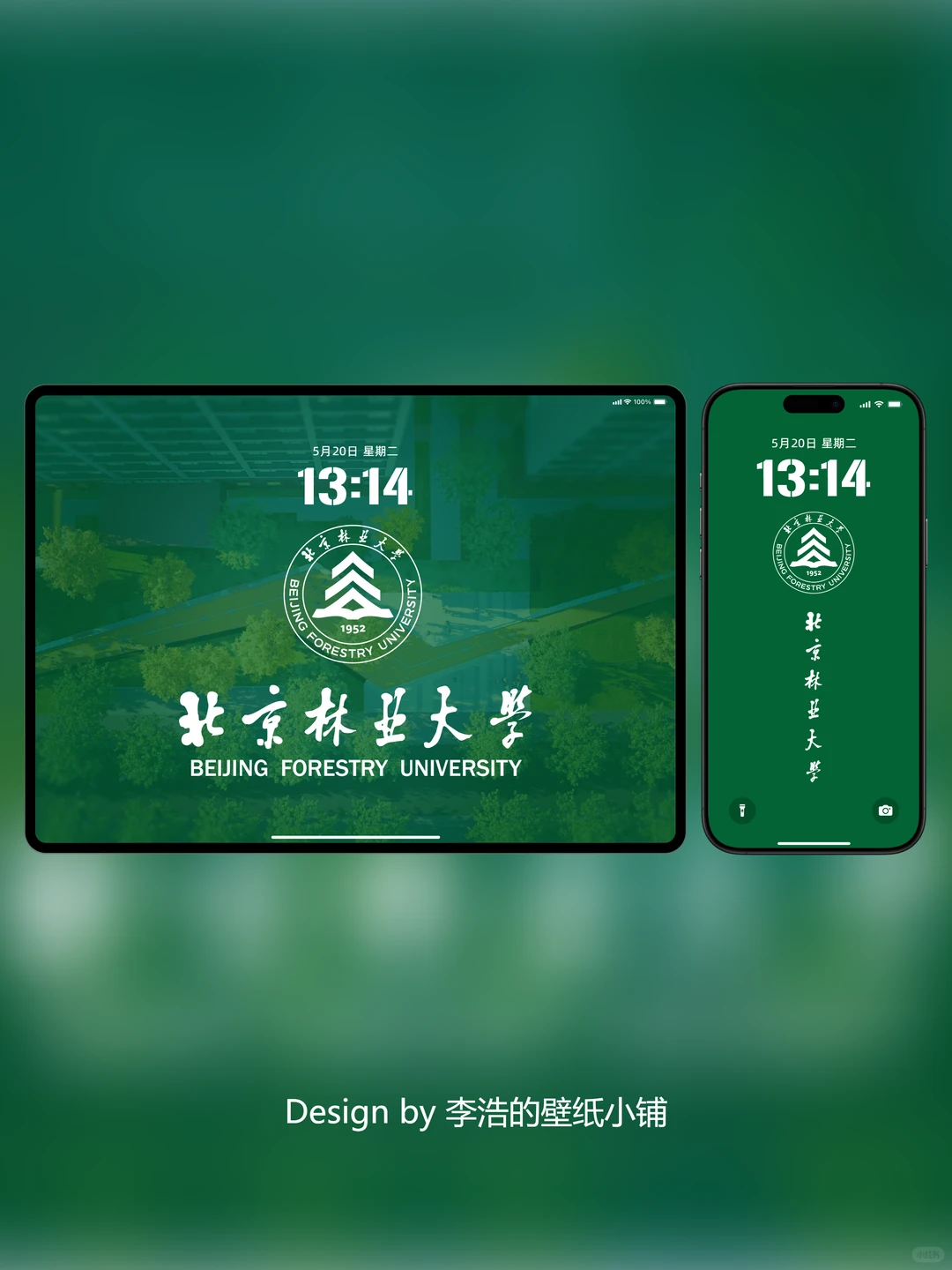 北京林业大学壁纸｜林韵鎏金，逐梦青衿