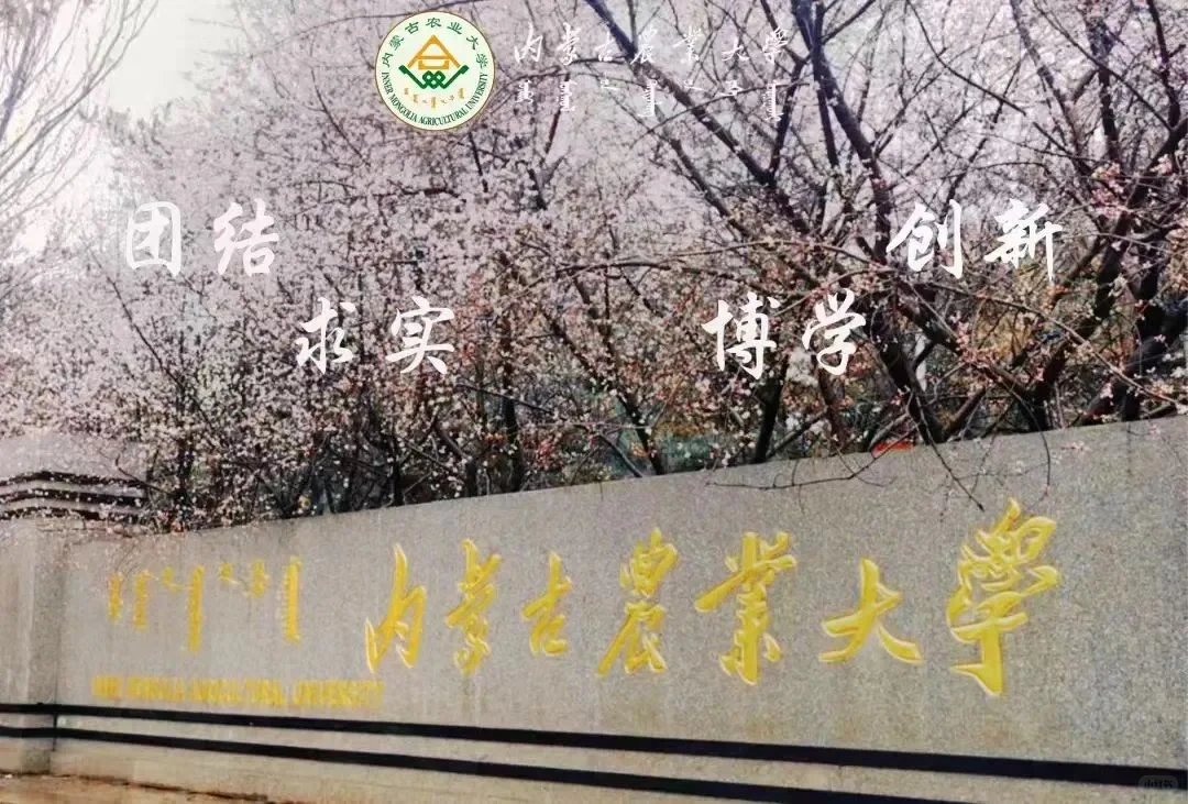 内蒙古农业大学林业345，803