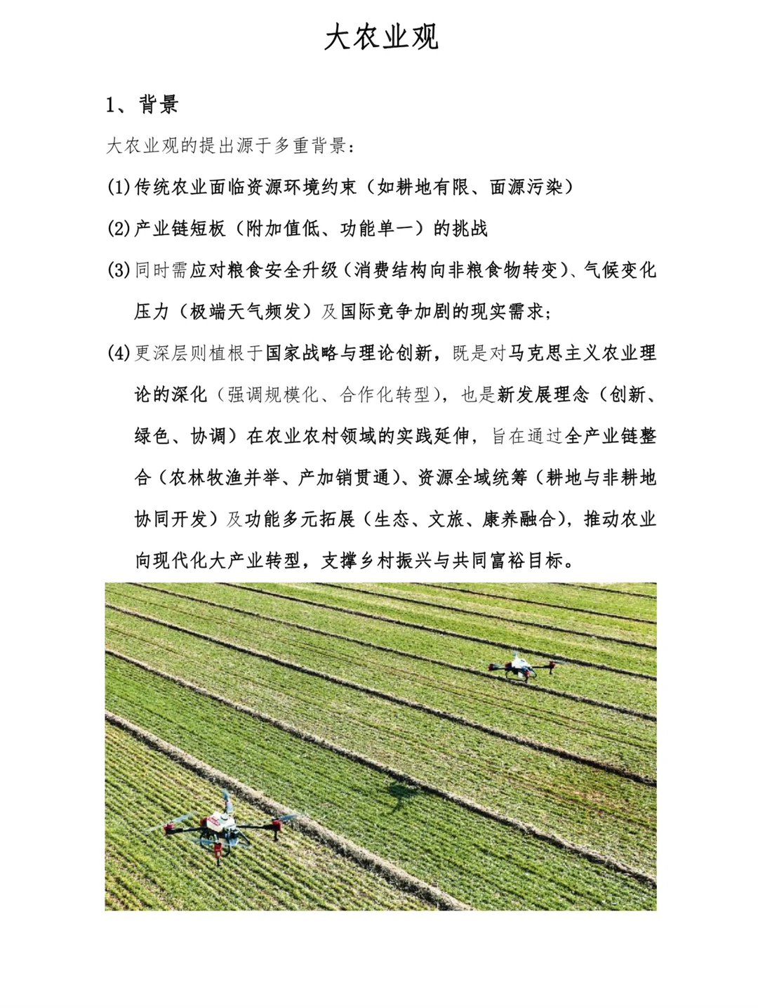 三农时政热词—大农业观