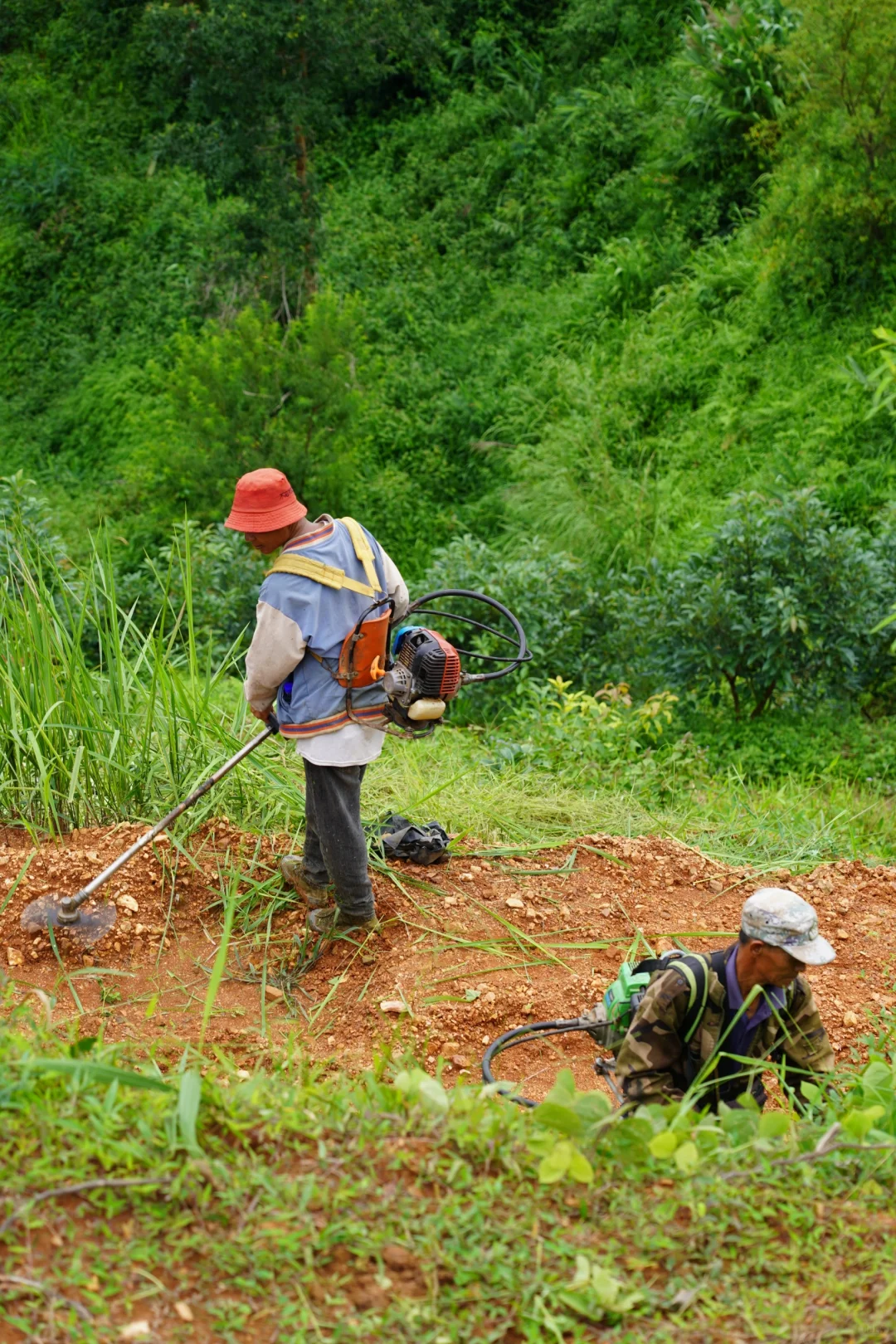 坚持人工除草！是新农人的第一步坚守……