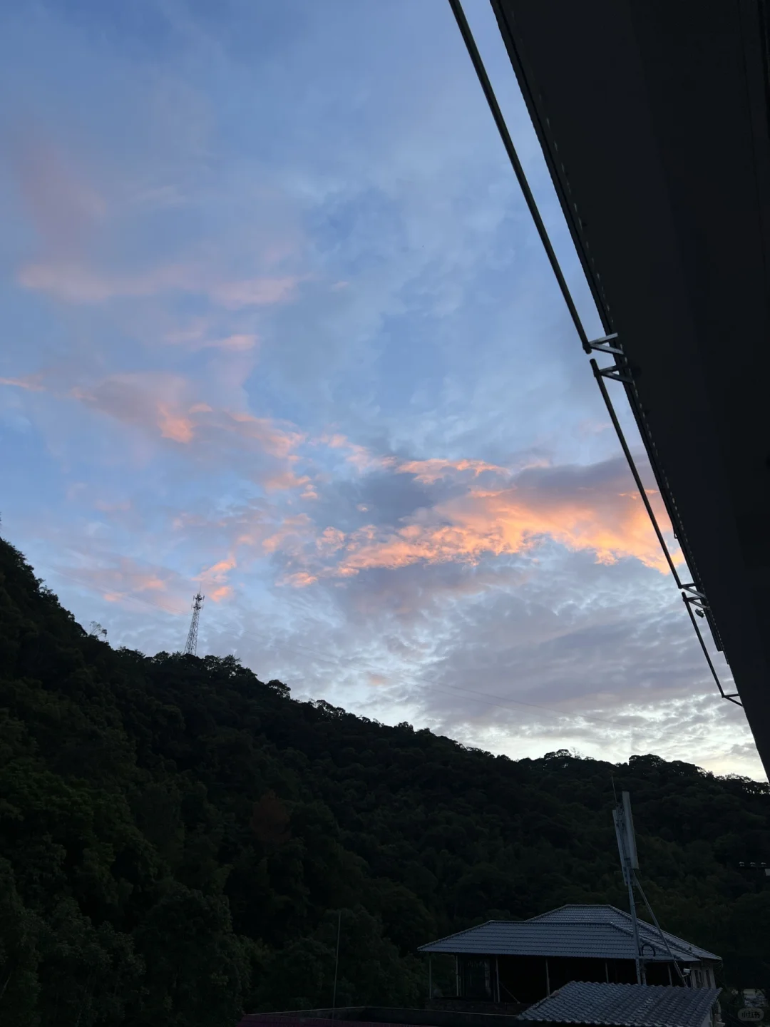 在林场生活的第247天