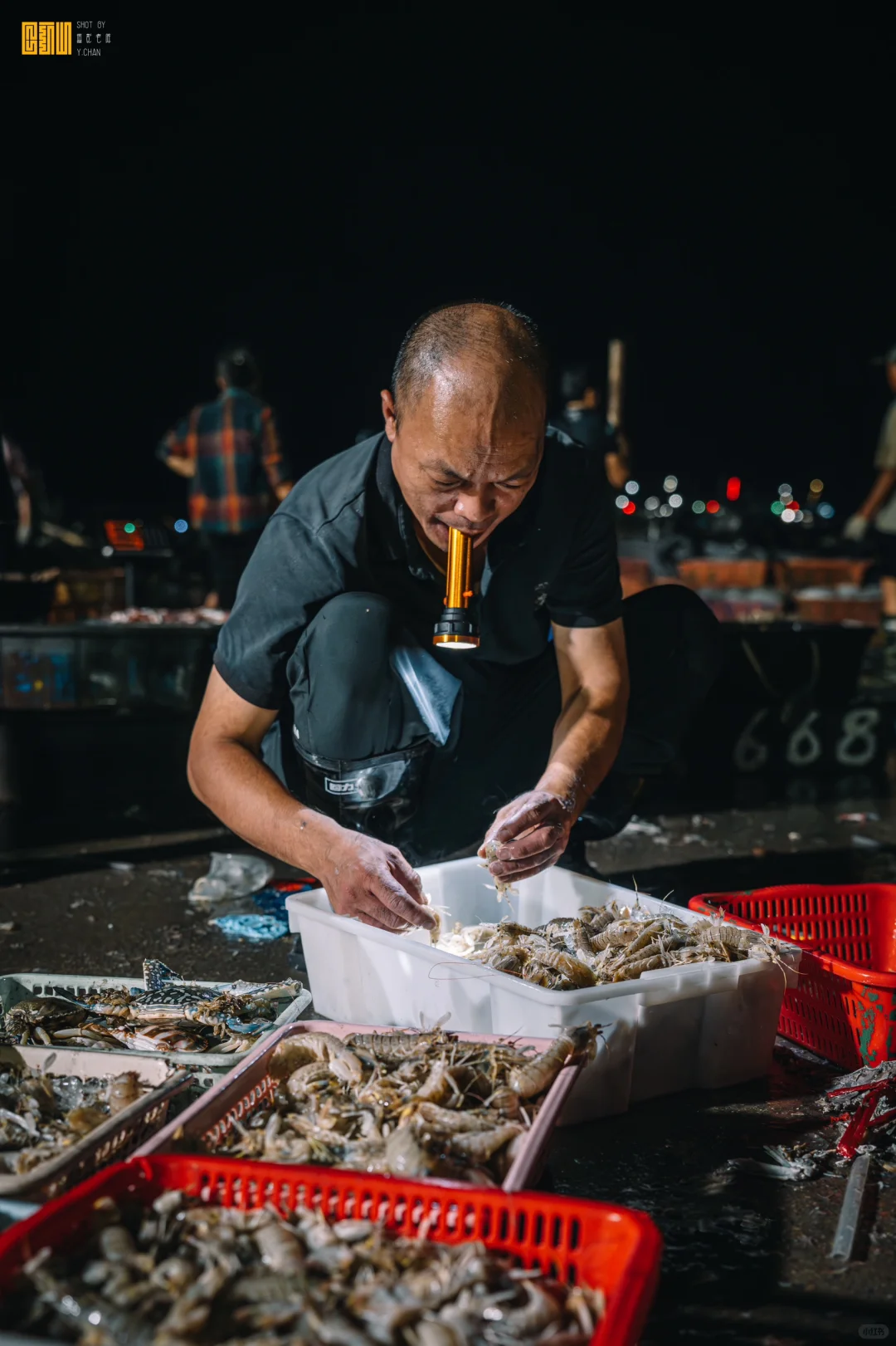 凌晨三点的渔村温度