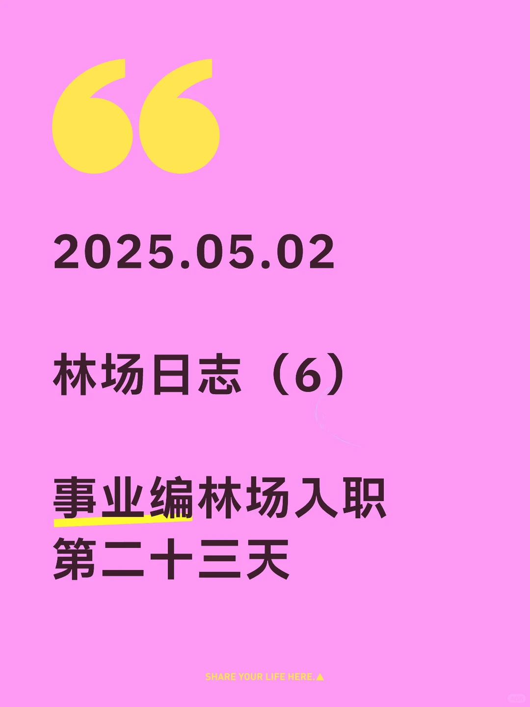 事业编林场入职第二十三天