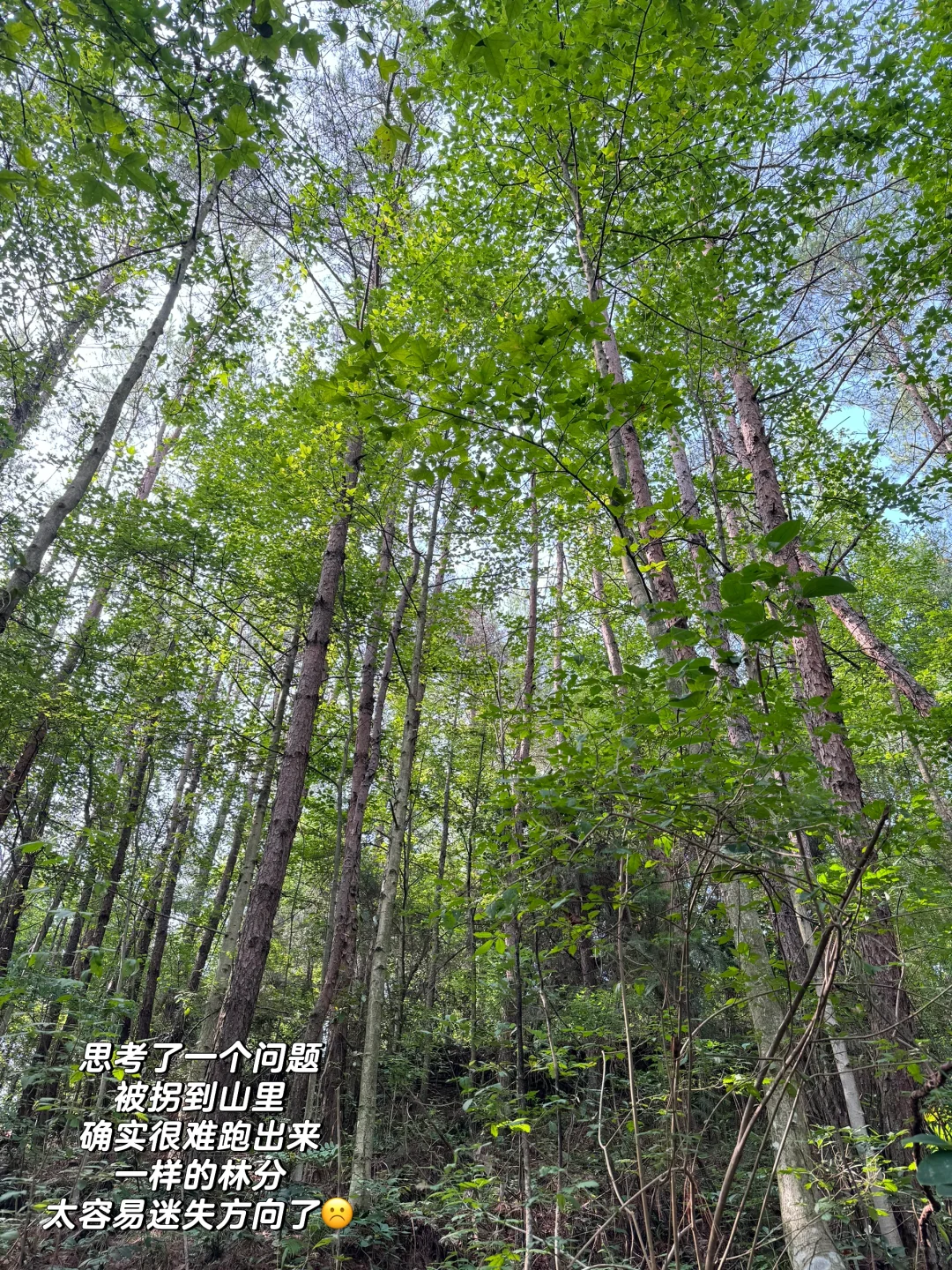 林业女研究生外业日常🧩