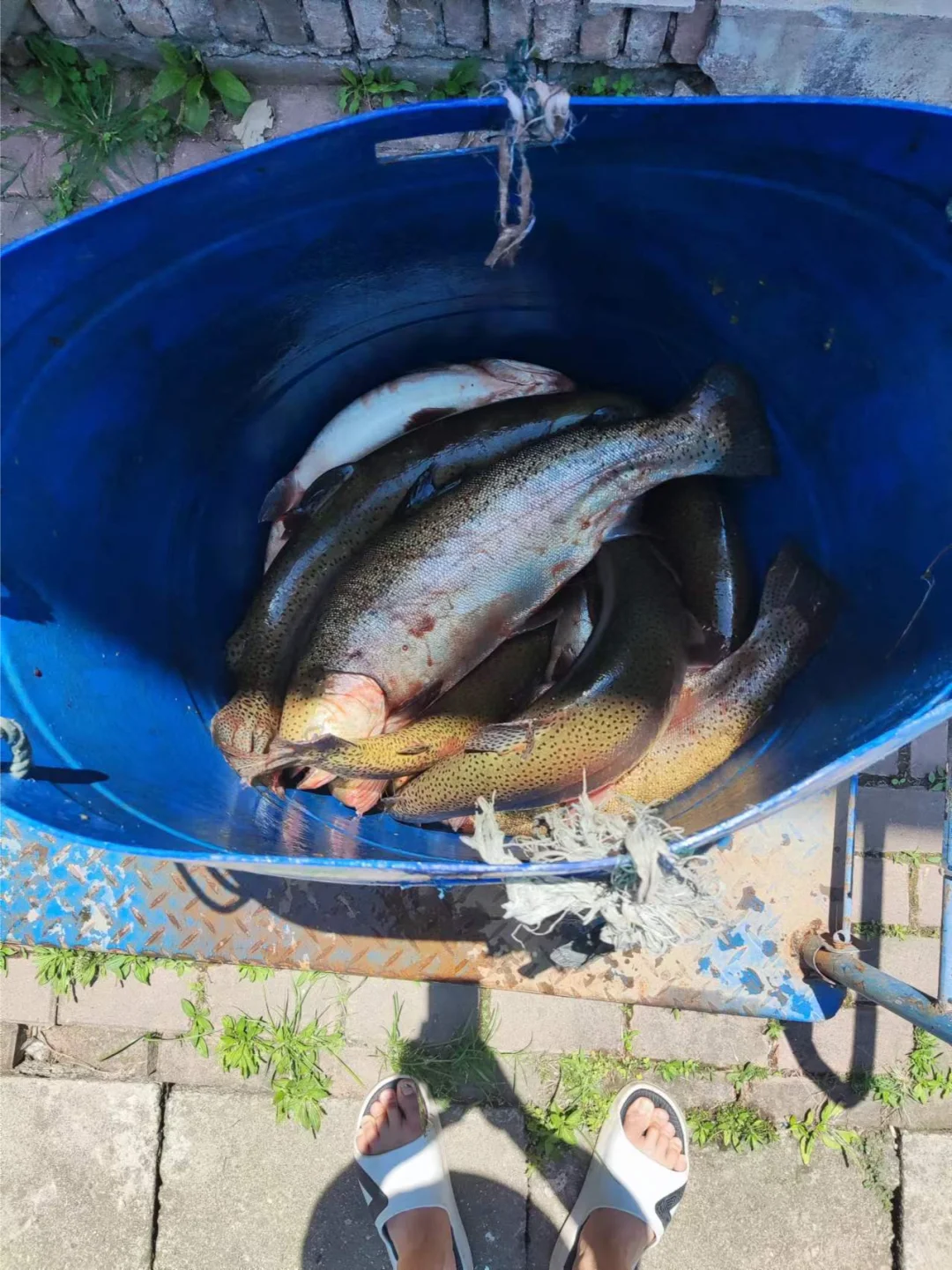 水产养殖专业分享