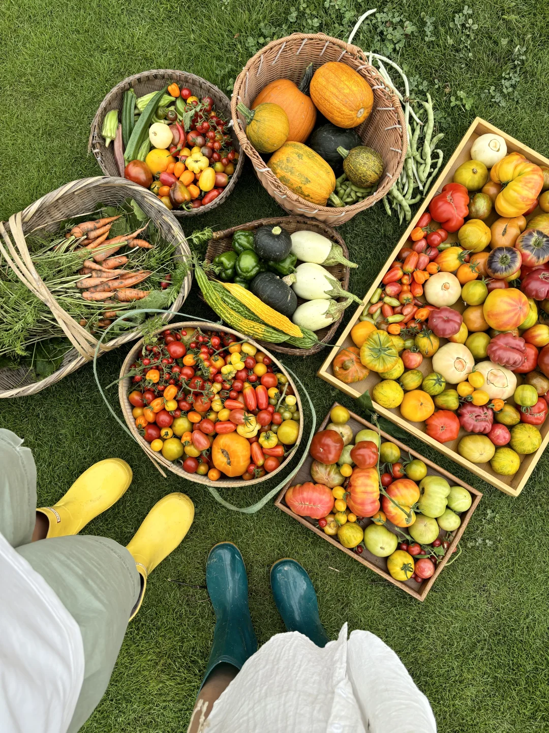 拥有农场主好朋友，提前10年过上梦想的生活