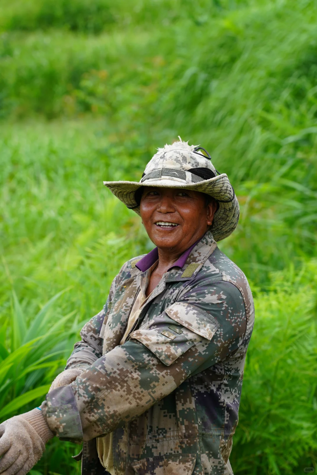 坚持人工除草！是新农人的第一步坚守……