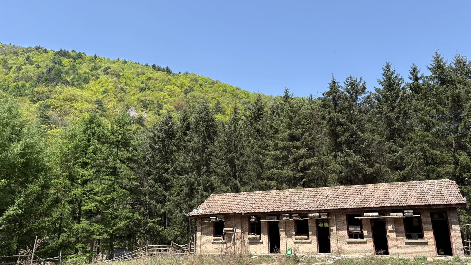 事业编林场入职第二十三天