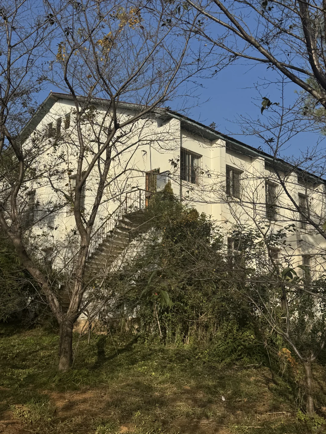 林科院里有什么