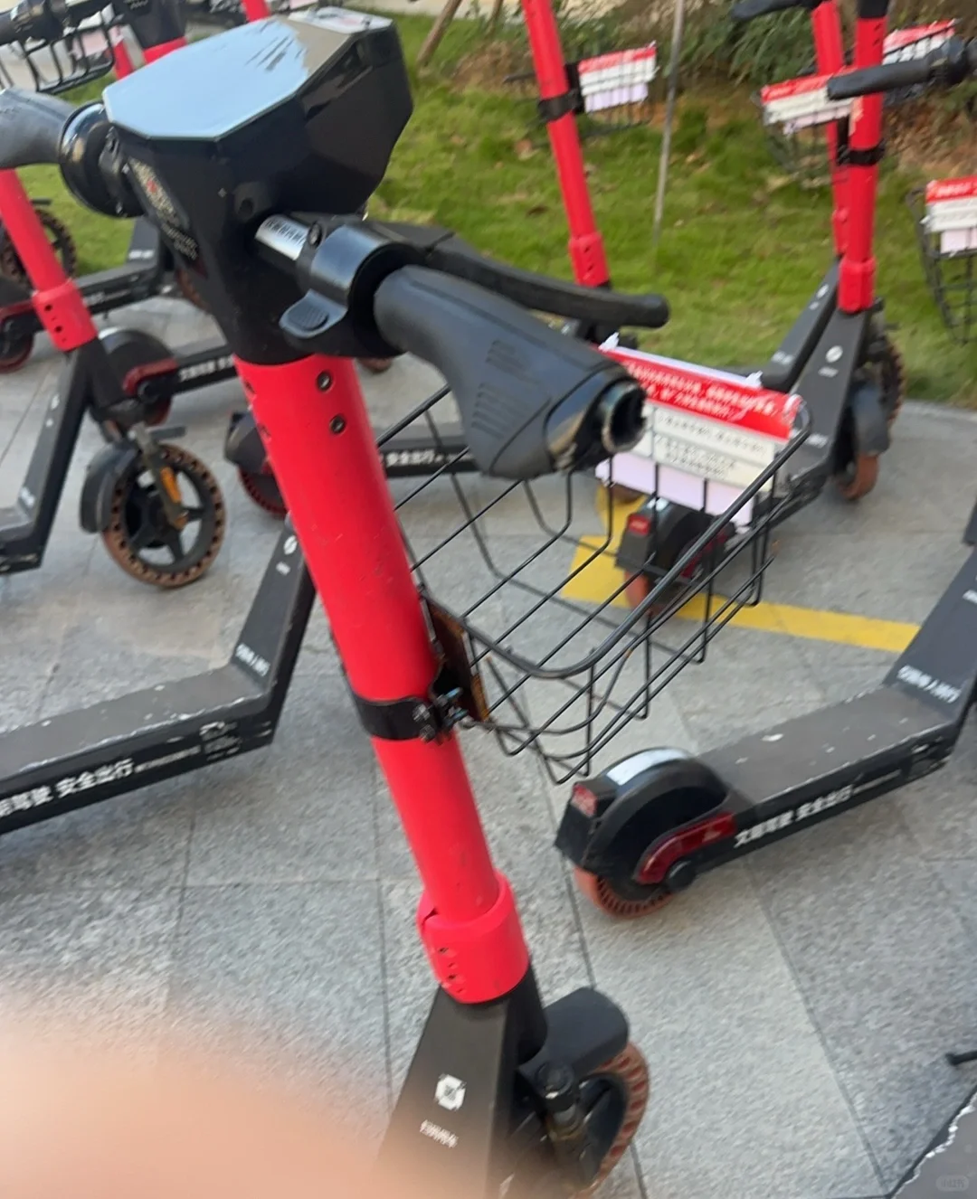 能来林职院上学真的好幸福！！！