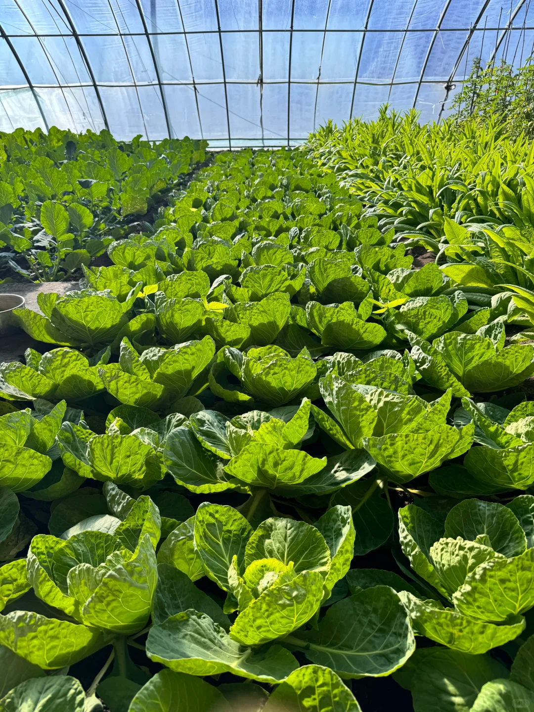 十二月也要加油哦