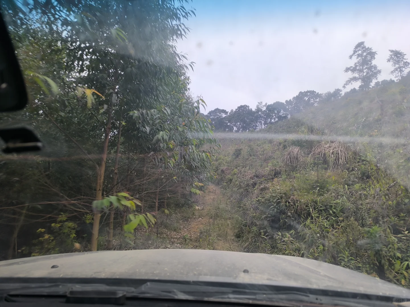 体验了一把林业员的日常