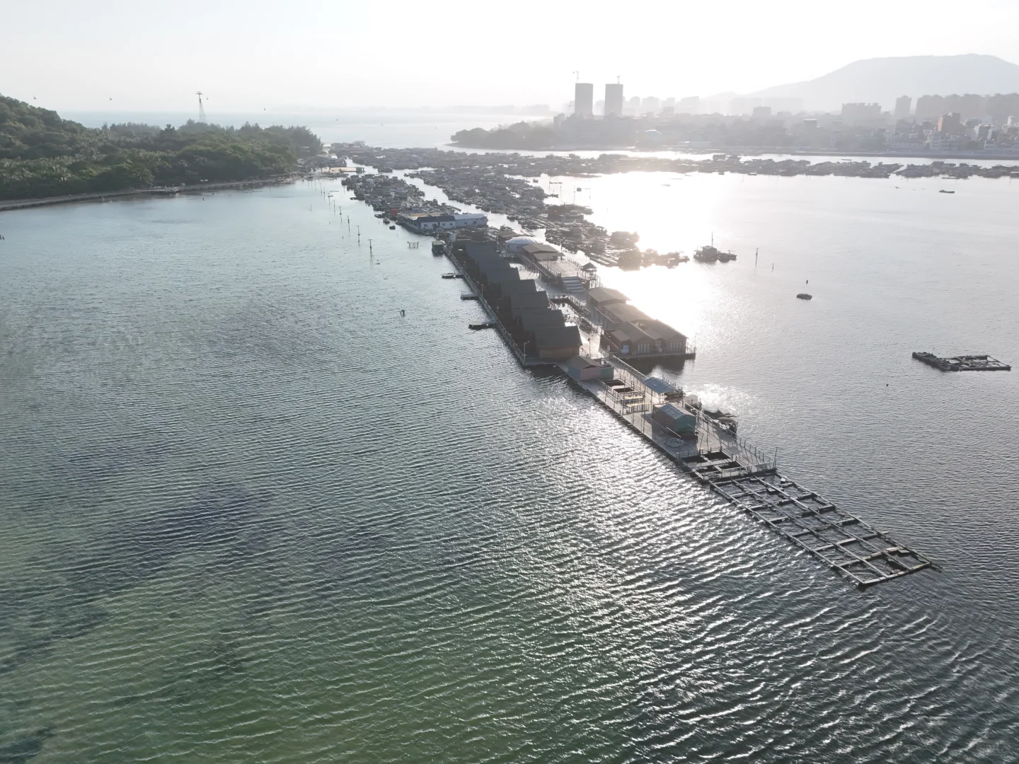 赶海的尽头是海钓的开始🌊