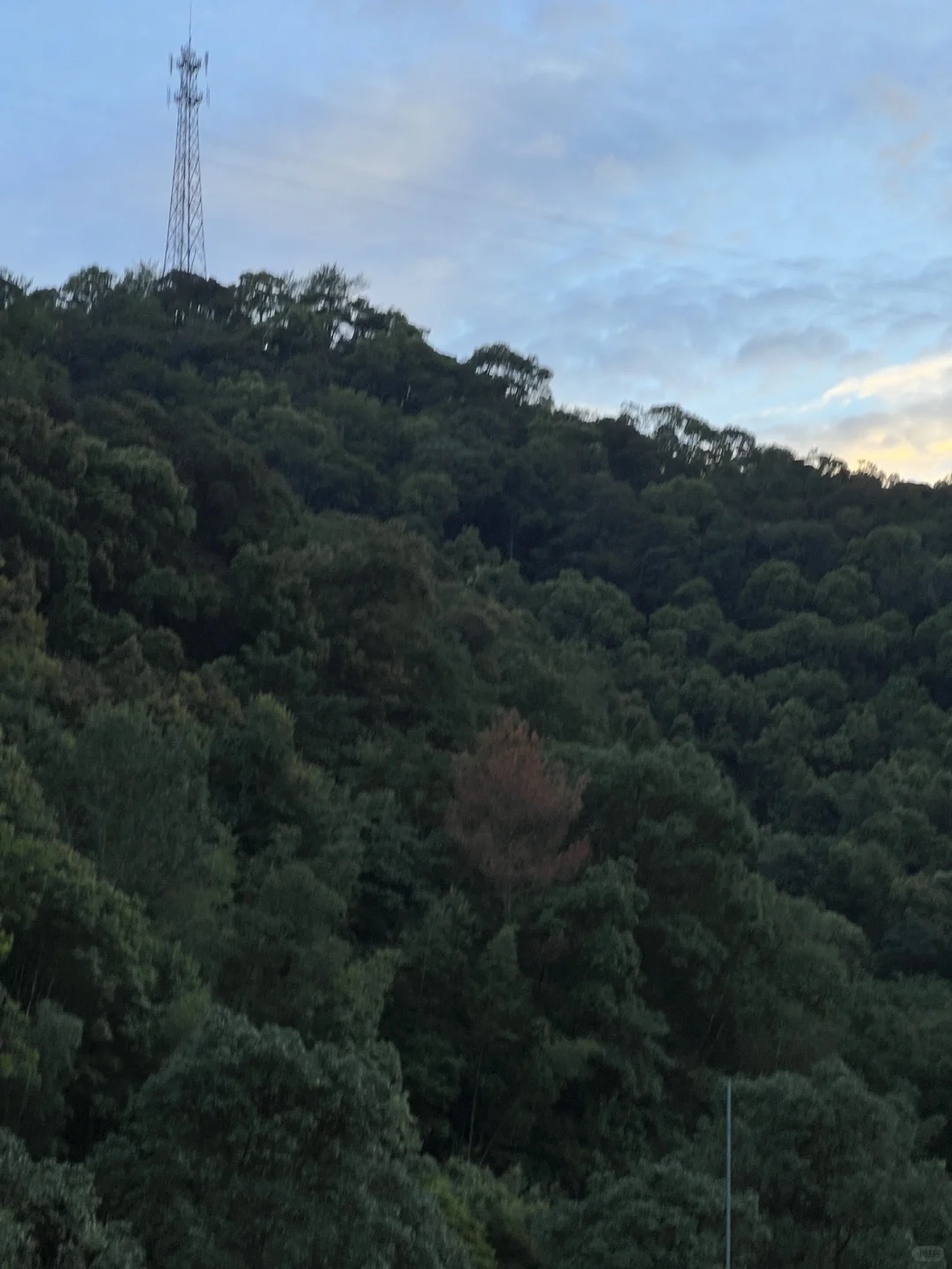 在林场生活的第247天