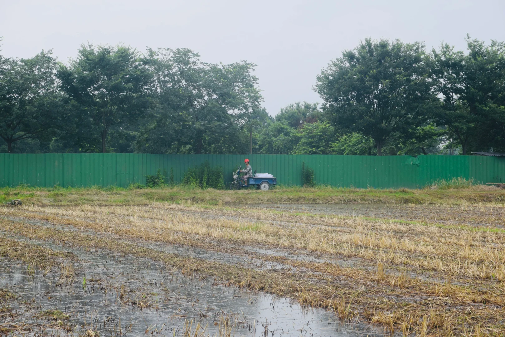 生态农场的机械困境：抢不过大户｜稻蚕共生