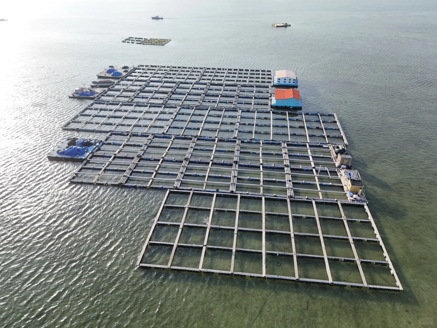 赶海的尽头是海钓的开始🌊